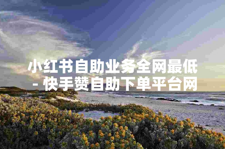 小红书自助业务全网最低 - 快手赞自助下单平台网站评论。