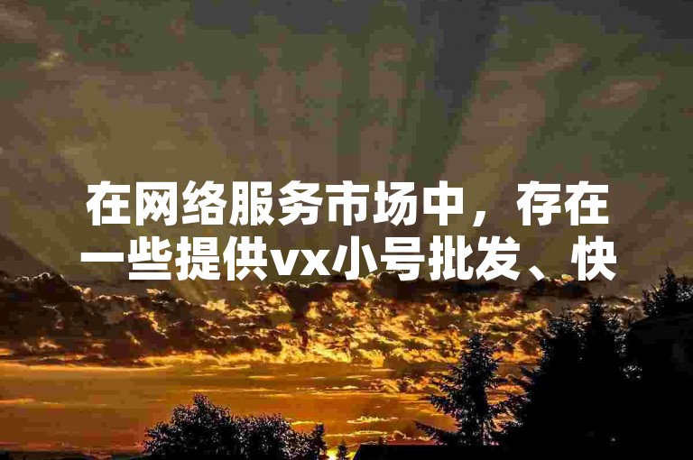 在网络服务市场中，存在一些提供vx小号批发、快手点赞自助以及增加QQ空间访客量的平台，这些服务通常以低价和快速响应为卖点。