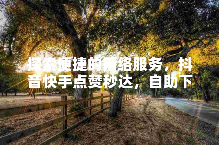 探索便捷的网络服务，抖音快手点赞秒达，自助下单网站优惠不断。