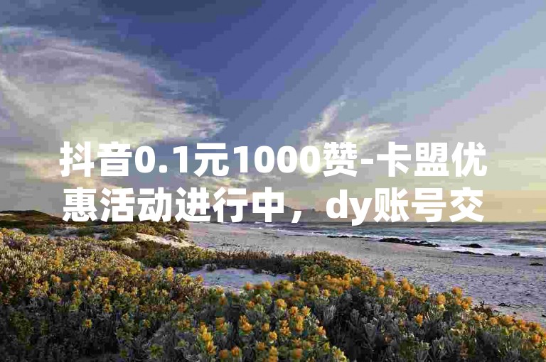 抖音0.1元1000赞-卡盟优惠活动进行中，dy账号交易超值优惠。