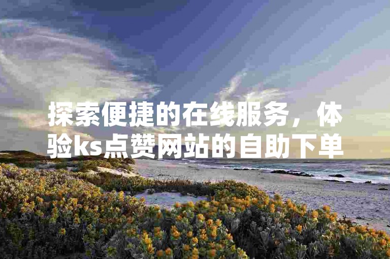 探索便捷的在线服务，体验ks点赞网站的自助下单与dy云小店的无缝对接。