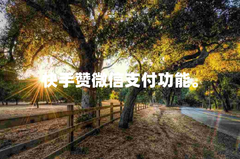 快手赞微信支付功能。