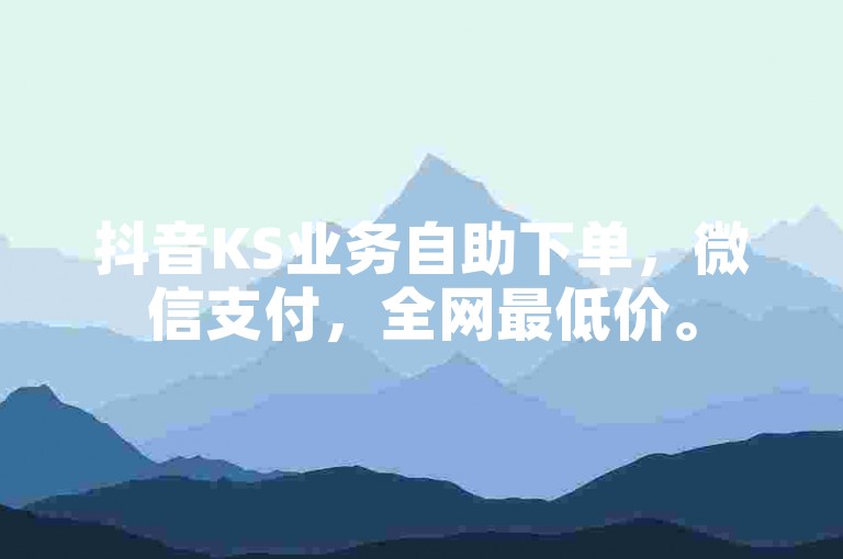 抖音KS业务自助下单，微信支付，全网最低价。