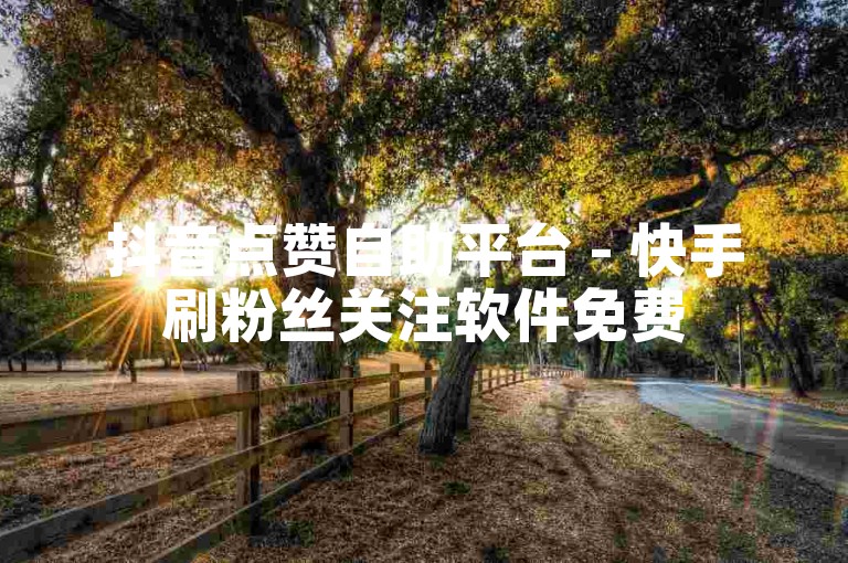 抖音点赞自助平台 - 快手刷粉丝关注软件免费
