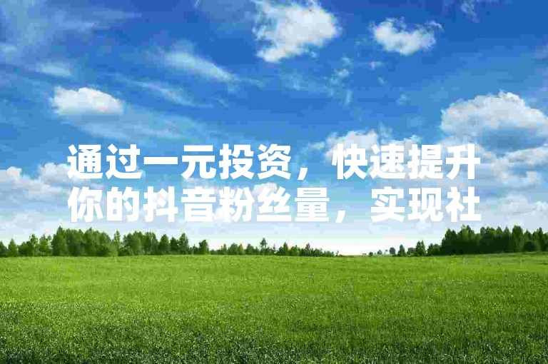 通过一元投资，快速提升你的抖音粉丝量，实现社交媒体影响力的飞跃。