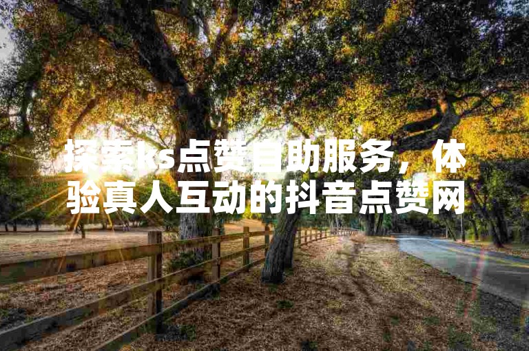 探索ks点赞自助服务，体验真人互动的抖音点赞网址平台。