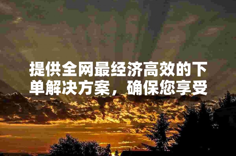 提供全网最经济高效的下单解决方案，确保您享受无与伦比的低价优势！