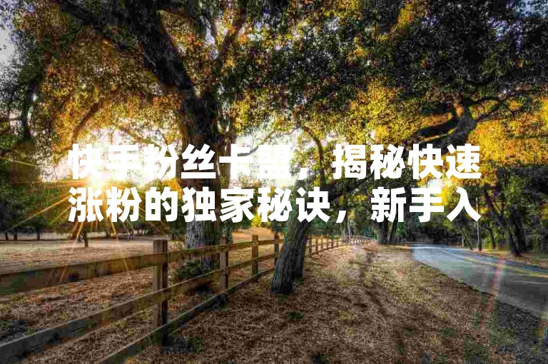 快手粉丝卡盟，揭秘快速涨粉的独家秘诀，新手入门必读！