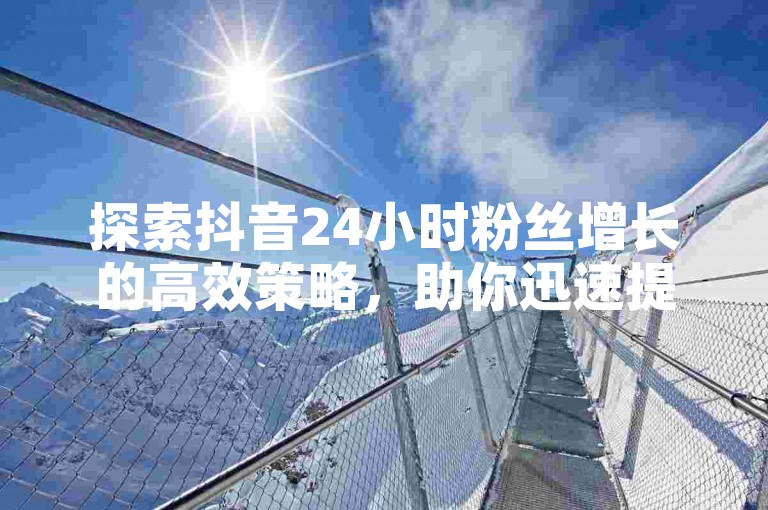 探索抖音24小时粉丝增长的高效策略，助你迅速提升影响力。