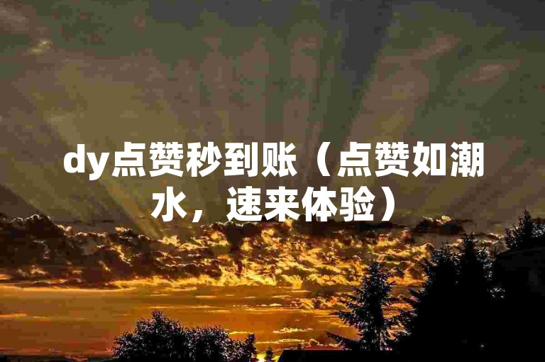 dy点赞秒到账（点赞如潮水，速来体验）