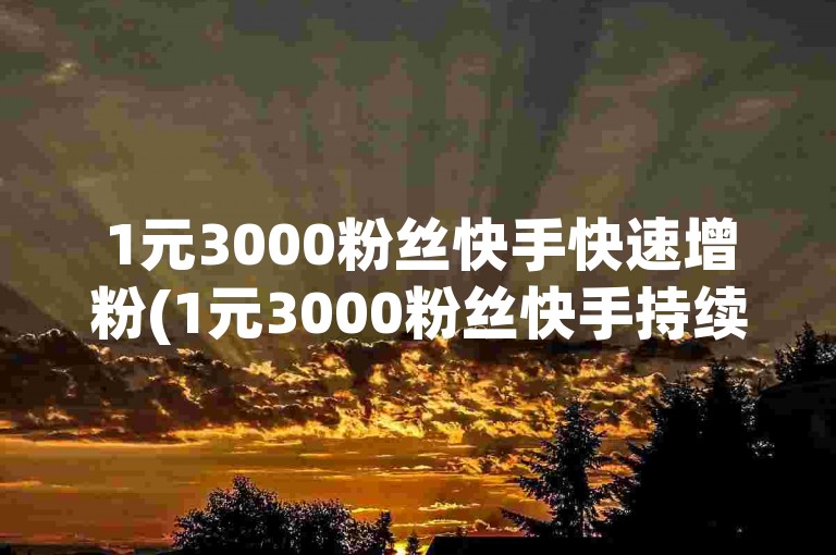 1元3000粉丝快手快速增粉(1元3000粉丝快手持续涨粉)