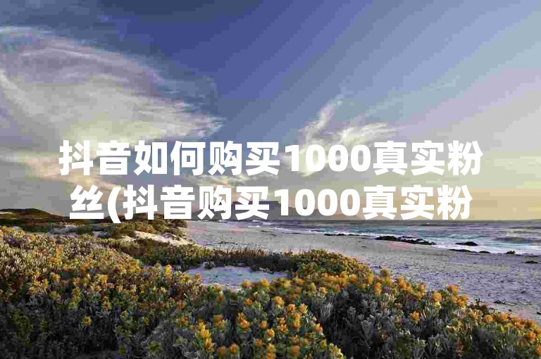 抖音如何购买1000真实粉丝(抖音购买1000真实粉丝的服务)