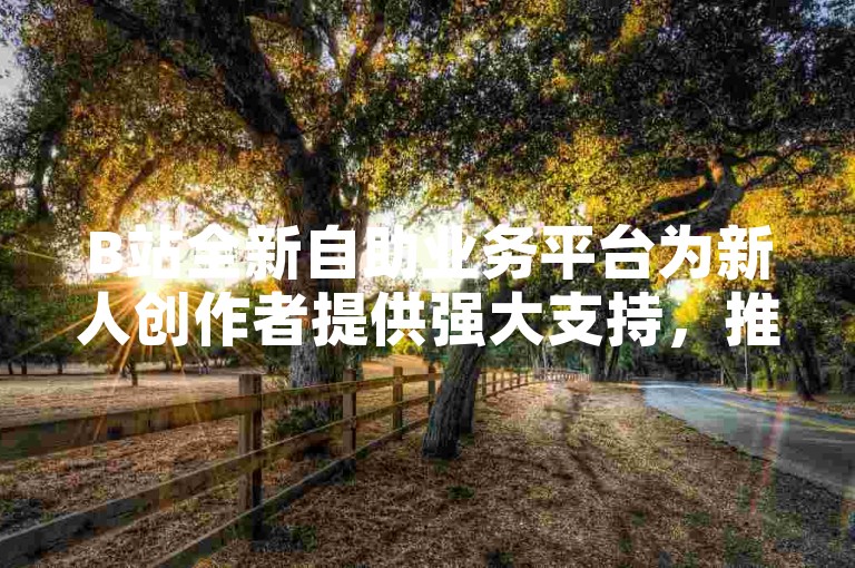 B站全新自助业务平台为新人创作者提供强大支持，推动内容创新与发展！