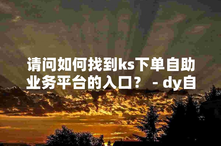 请问如何找到ks下单自助业务平台的入口？ - dy自助下单业务全天人气旺盛。