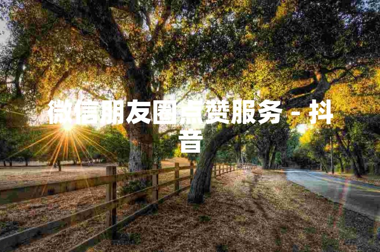 微信朋友圈点赞服务 - 抖音5元500赞