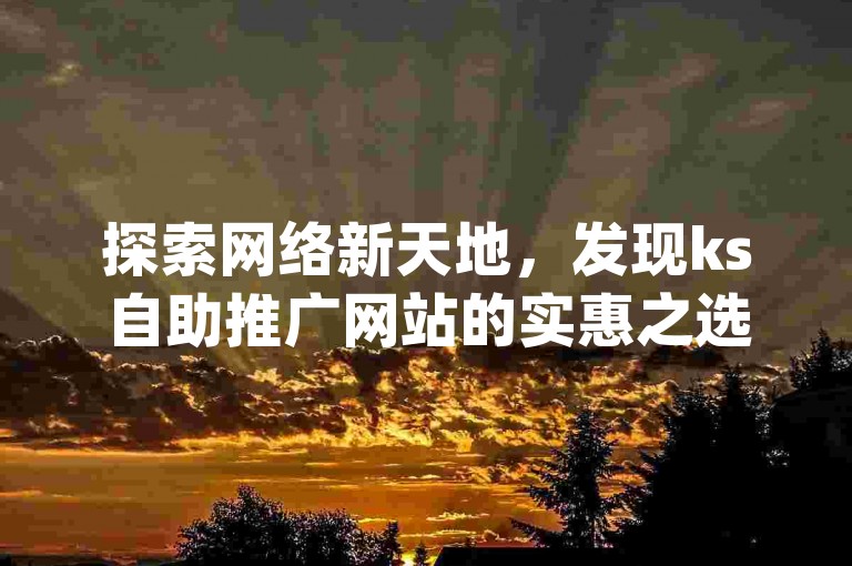 探索网络新天地，发现ks自助推广网站的实惠之选，dy业务下单平台带来便捷体验，抖音点赞服务快速响应，秒速到账不是梦。