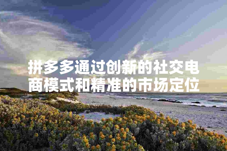 拼多多通过创新的社交电商模式和精准的市场定位策略，有效助力了中小企业的发展与实践。