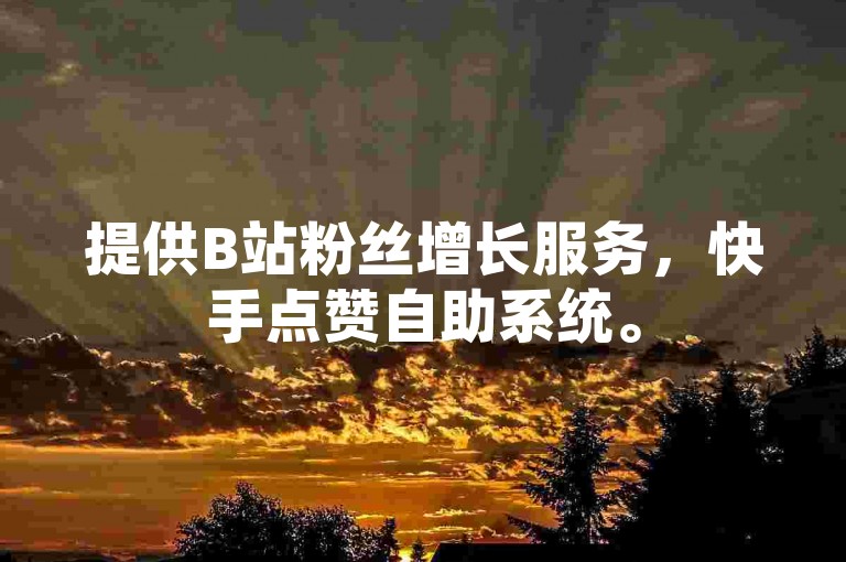 提供B站粉丝增长服务，快手点赞自助系统。