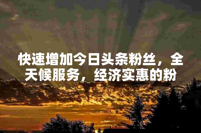 快速增加今日头条粉丝，全天候服务，经济实惠的粉丝增长方案。
