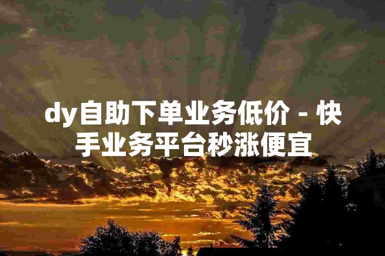 dy自助下单业务低价 - 快手业务平台秒涨便宜