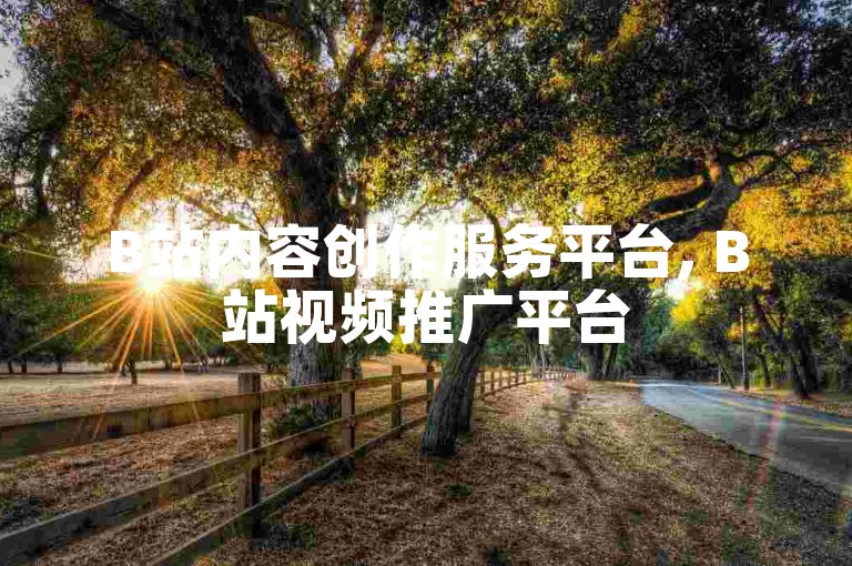 B站内容创作服务平台, B站视频推广平台