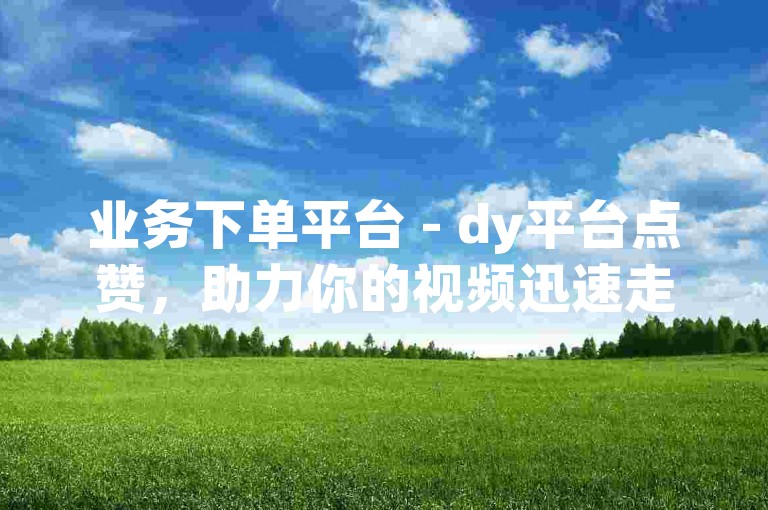业务下单平台 - dy平台点赞，助力你的视频迅速走红。
