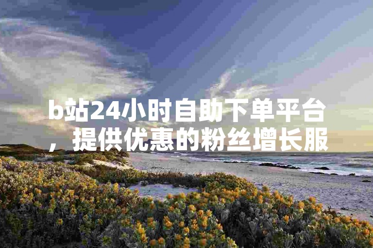b站24小时自助下单平台，提供优惠的粉丝增长服务。