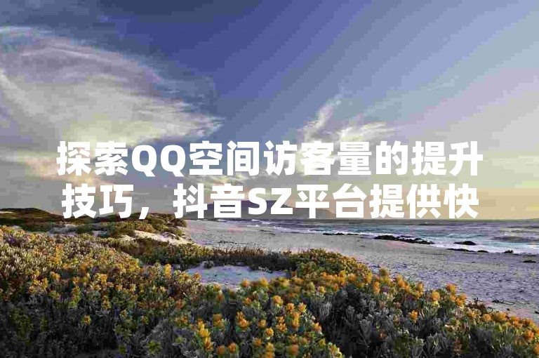 探索QQ空间访客量的提升技巧，抖音SZ平台提供快速点赞充值服务，KS自助下单平台确保秒到账，微利也能带来惊喜效果！