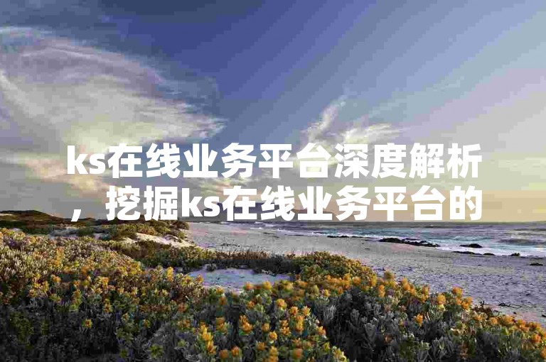 ks在线业务平台深度解析，挖掘ks在线业务平台的独特之处与未来发展前景！2024不可错过