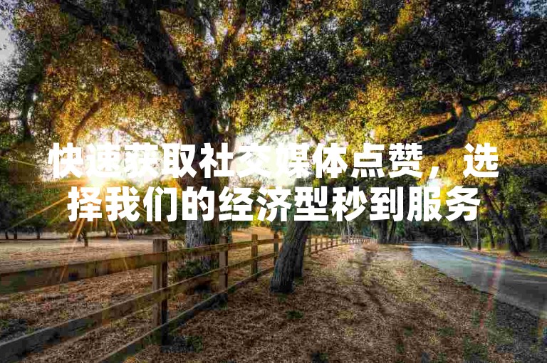 快速获取社交媒体点赞，选择我们的经济型秒到服务，让您的内容瞬间获得关注。
