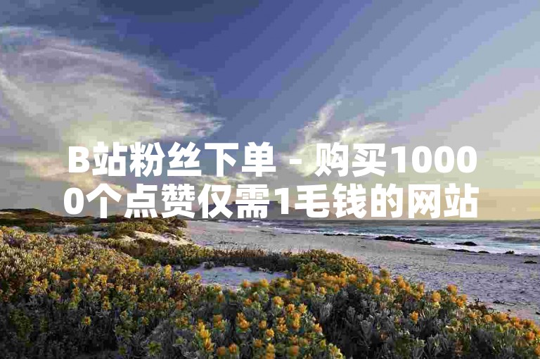 B站粉丝下单 - 购买10000个点赞仅需1毛钱的网站。