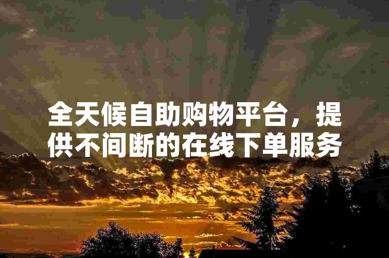 全天候自助购物平台，提供不间断的在线下单服务。