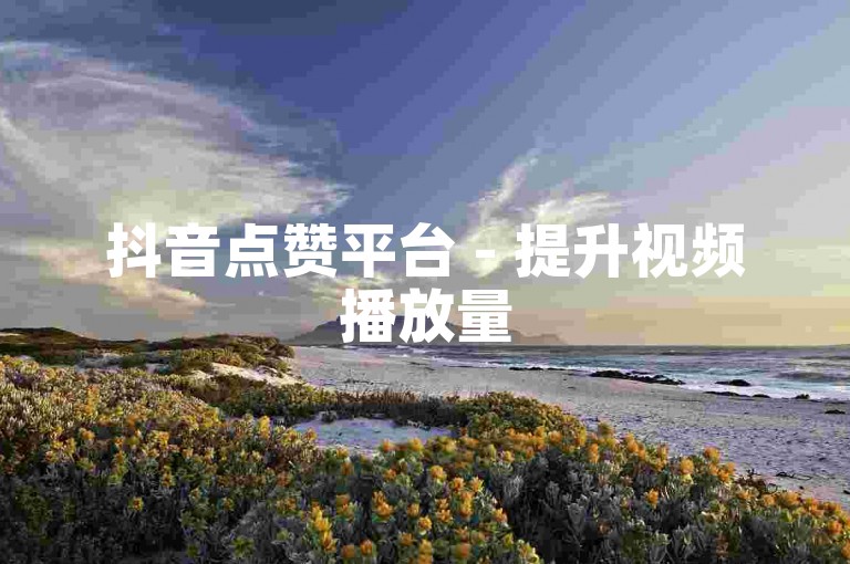 抖音点赞平台 - 提升视频播放量