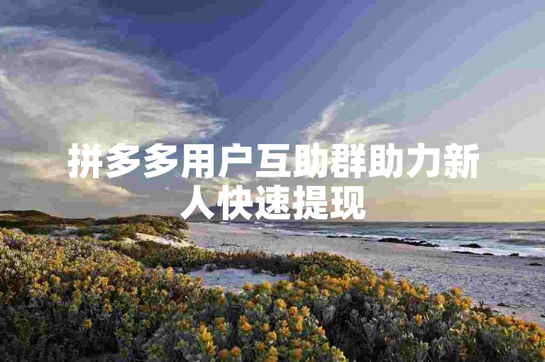 拼多多用户互助群助力新人快速提现