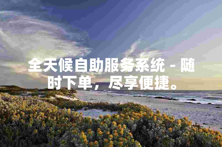 全天候自助服务系统 - 随时下单，尽享便捷。