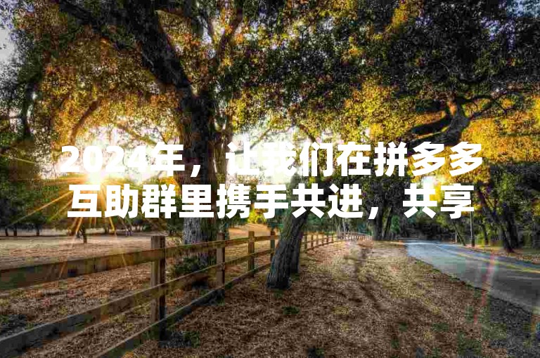 2024年，让我们在拼多多互助群里携手共进，共享优惠与乐趣。