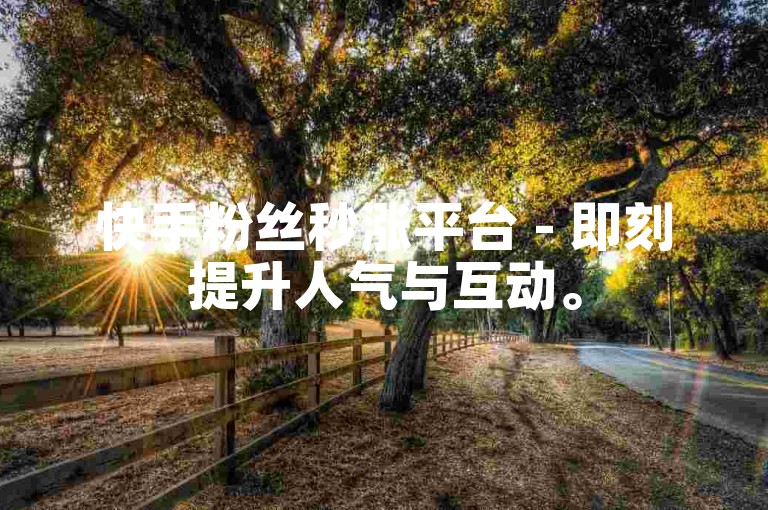 快手粉丝秒涨平台 - 即刻提升人气与互动。