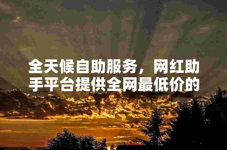 全天候自助服务，网红助手平台提供全网最低价的卡盟下单服务。