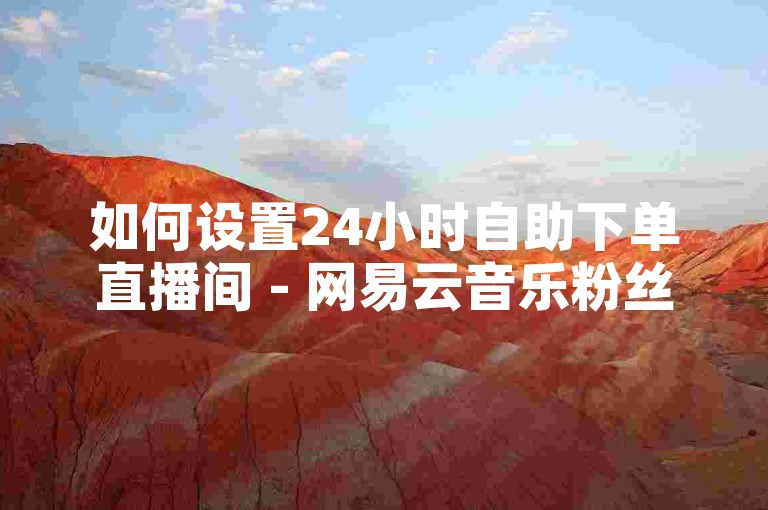 如何设置24小时自助下单直播间 - 网易云音乐粉丝增长技巧