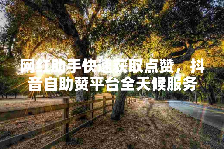 网红助手快速获取点赞，抖音自助赞平台全天候服务 - 即时下单商城快速响应 - NAP6科技网开启方法深度解析续集
