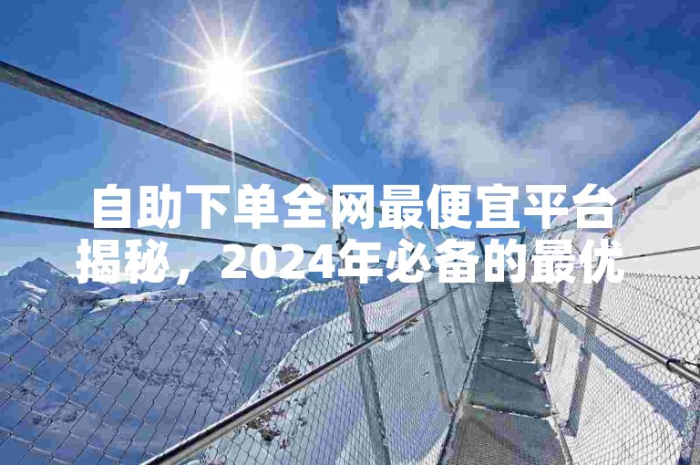 自助下单全网最便宜平台揭秘，2024年必备的最优惠自助下单服务平台！