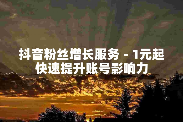 抖音粉丝增长服务 - 1元起快速提升账号影响力