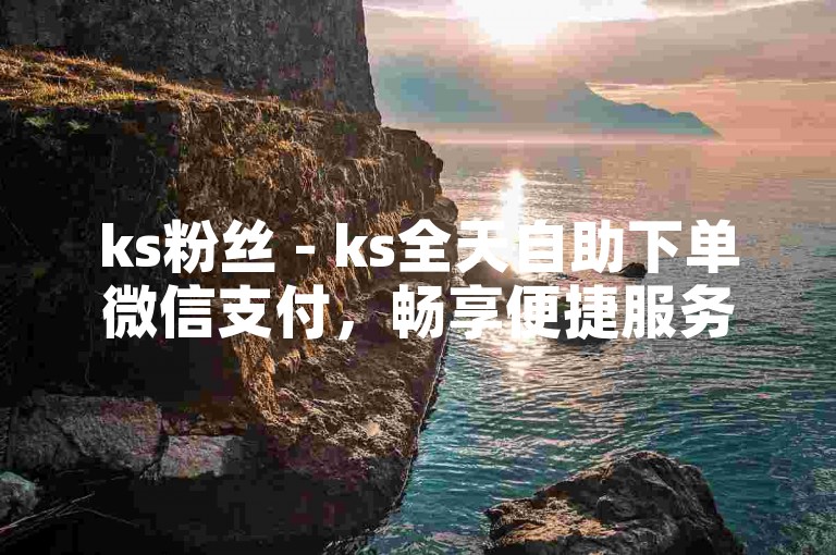 ks粉丝 - ks全天自助下单微信支付，畅享便捷服务，轻松完成支付。