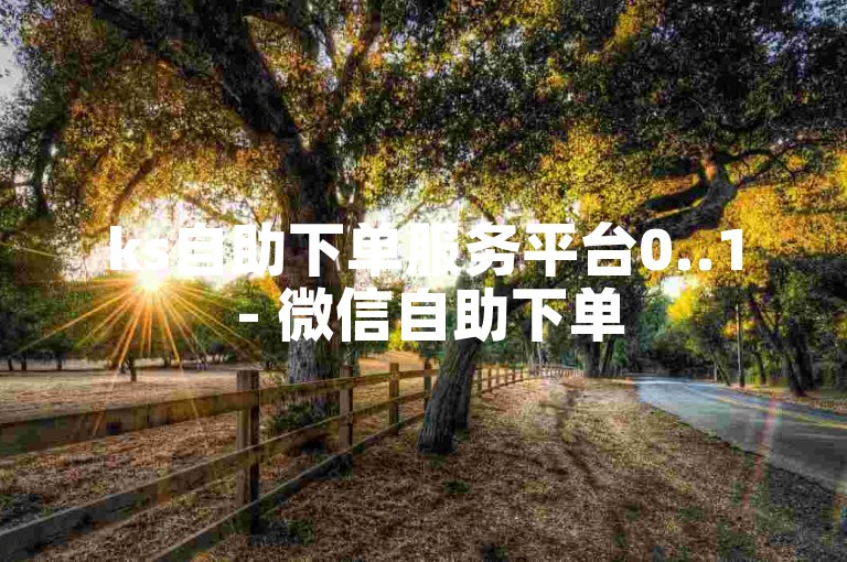 ks自助下单服务平台0..1 - 微信自助下单