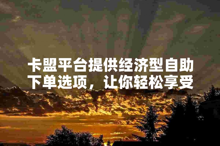 卡盟平台提供经济型自助下单选项，让你轻松享受优惠服务。