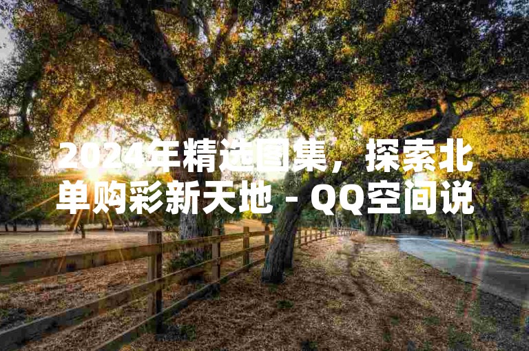 2024年精选图集，探索北单购彩新天地 - QQ空间说说赞服务，打造人气社交圈 - 经济实惠的QQ空间业务平台。