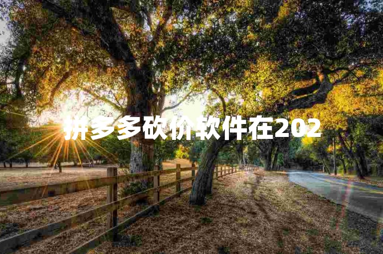 拼多多砍价软件在2025年的发展与未来展望令人充满期待。