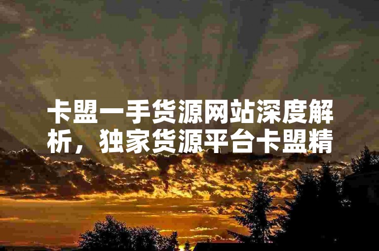 卡盟一手货源网站深度解析，独家货源平台卡盟精选推荐！2025必备知识。