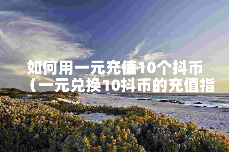 如何用一元充值10个抖币（一元兑换10抖币的充值指南）。