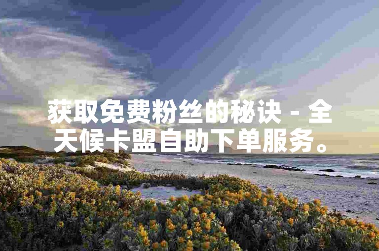 获取免费粉丝的秘诀 - 全天候卡盟自助下单服务。